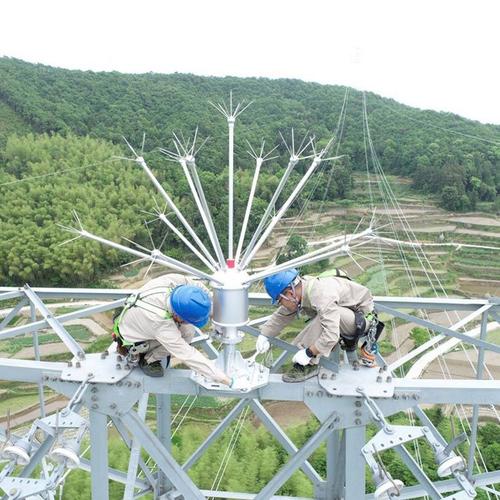 徐航防雷 无源等离子驱雷器 电力雷电安全 森林直击雷多短针消雷器